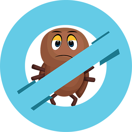 Effective Home Remedies For Lice Treatment
